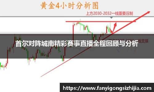 首尔对阵城南精彩赛事直播全程回顾与分析