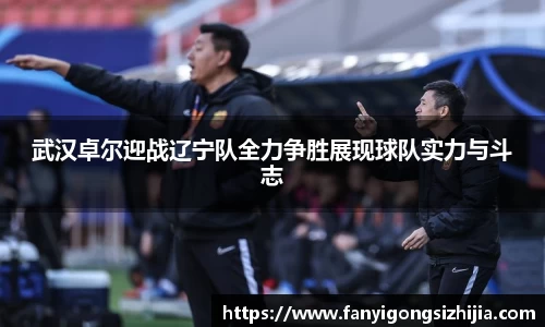 武汉卓尔迎战辽宁队全力争胜展现球队实力与斗志
