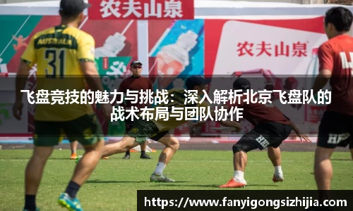 飞盘竞技的魅力与挑战：深入解析北京飞盘队的战术布局与团队协作